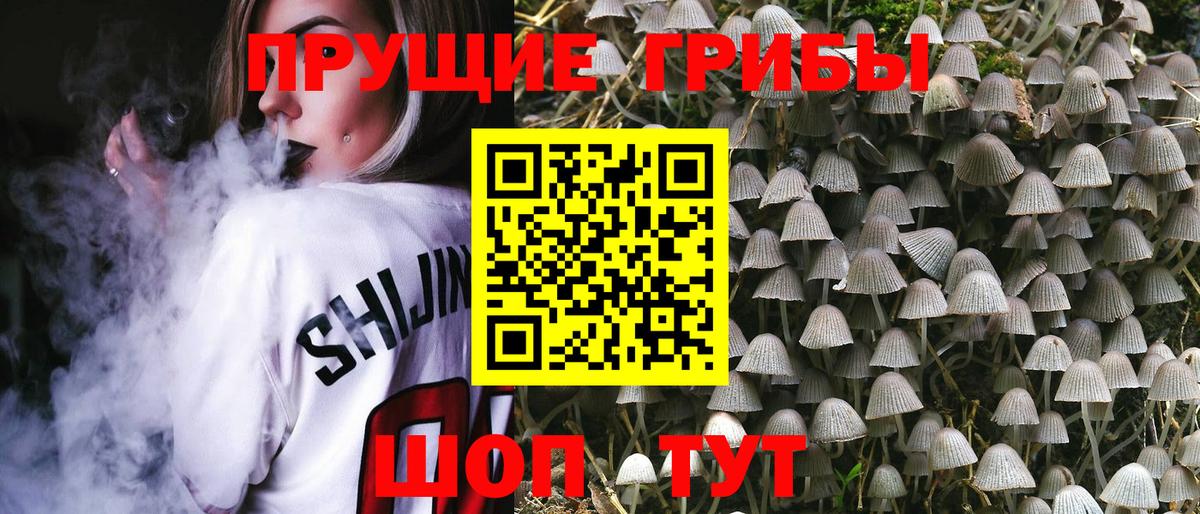 Псилоцибиновые грибы Cubensis  Вход с VPN  Костомукша 
